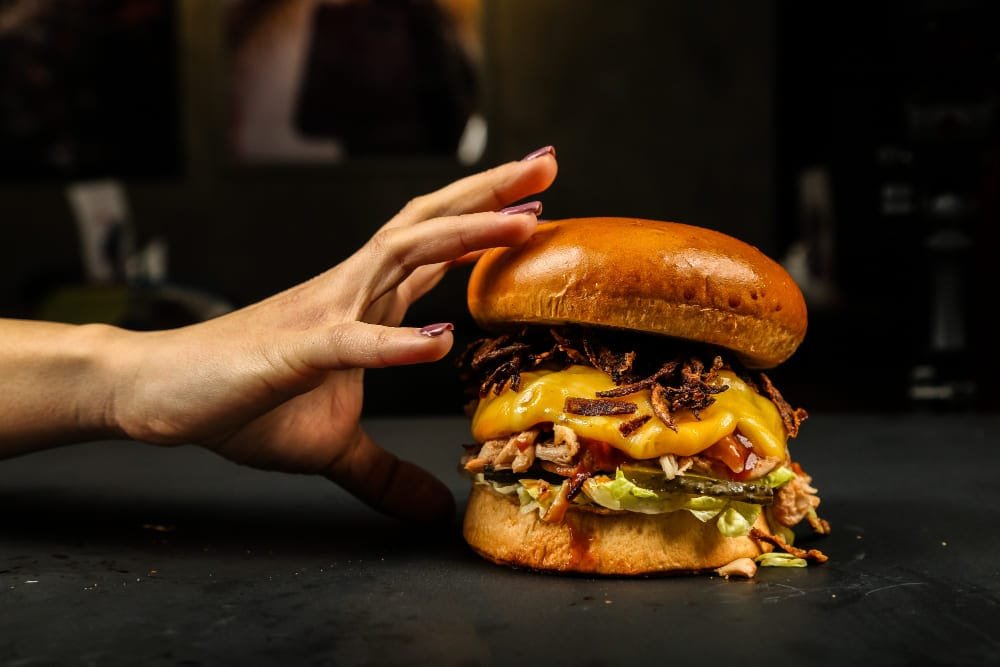 sistema para hamburgueria 