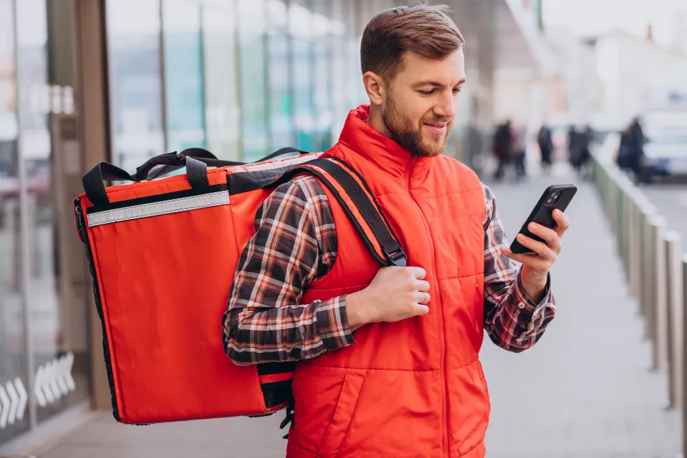 sistema para delivery